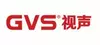 GVS