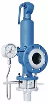 Over pressure Protection - Rupture Discs - Pressure Relief Valves