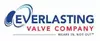 Everlasting Valve