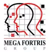 Mega Fortris