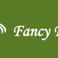 Fancy Fan | Project Suppliers