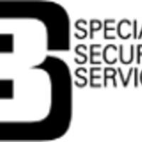 Specialized security services